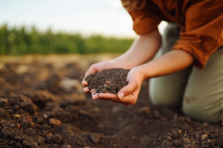 Impulsione o futuro da sua lavoura com biofertilizantes organominerais LNZ. Nosso inovador adubo orgânico oferece nutrição natural e equilibrada para uma agricultura sustentável no Brasil. Conheça já!